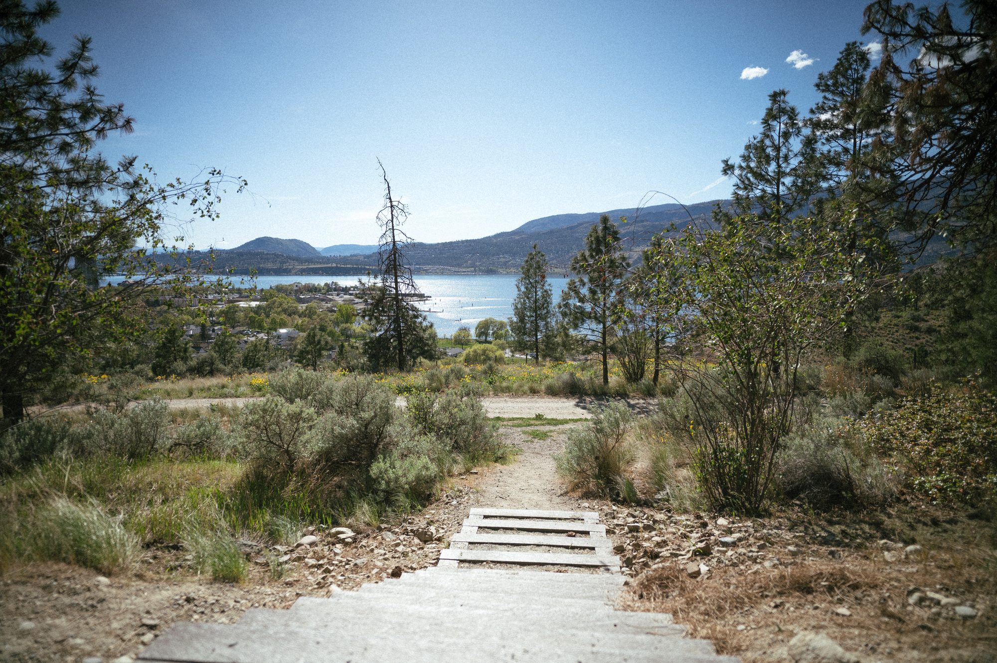 Landscape Is9