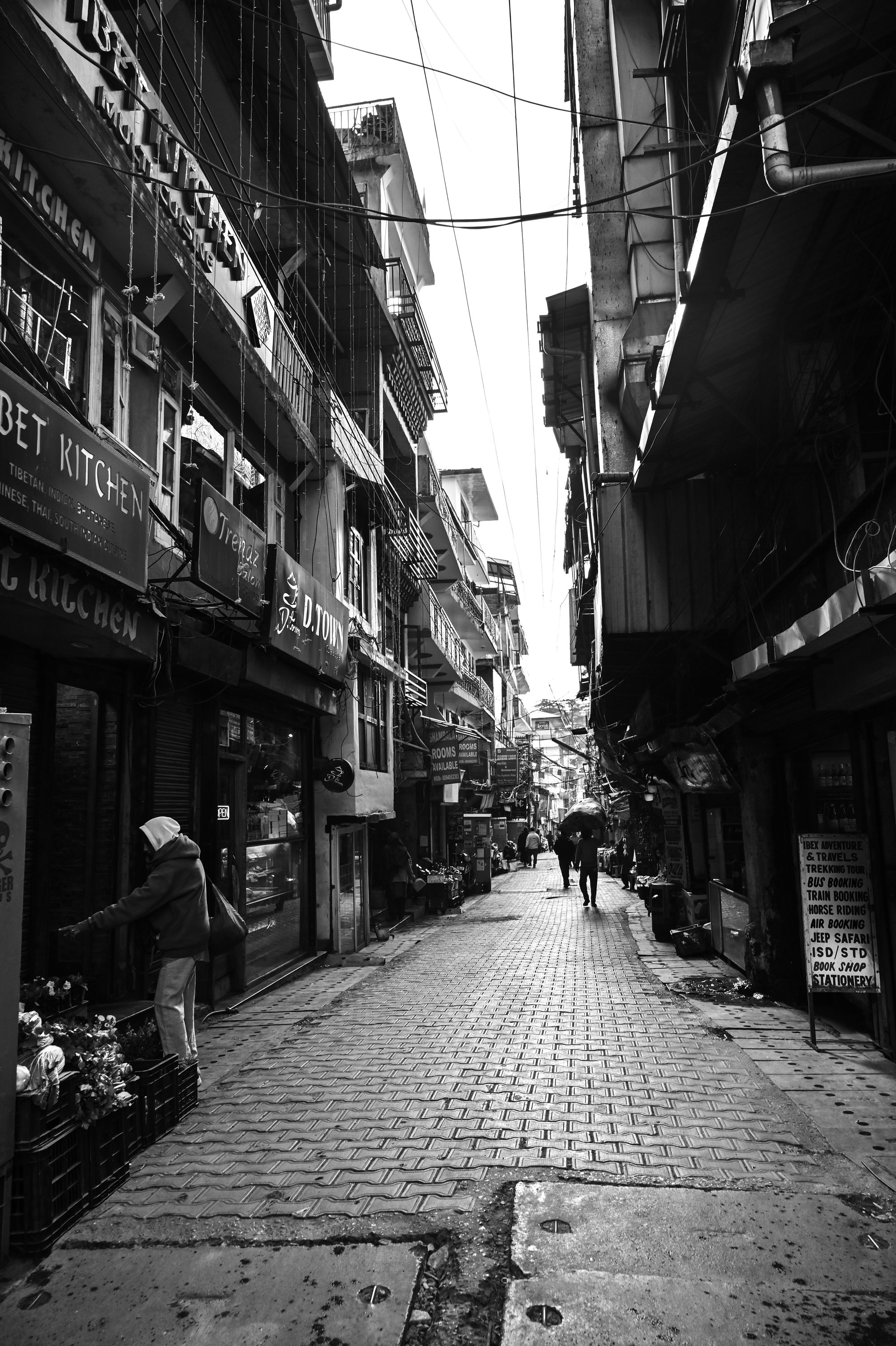 Street 15